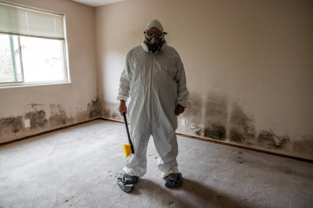 Best Mold Remediation for Healthcare Facilities  in Brookville, IN